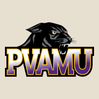 Prairie View A&m Panthers And Lady Panthers Rectangle Patch Urban Heavy Tee | Teevron