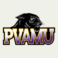 Prairie View A&m Panthers And Lady Panthers Rectangle Patch Urban Heavy Tee | Teevron