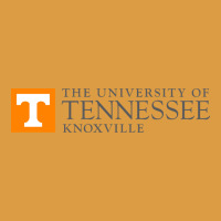 The Ut Knoxville Urban Heavy Tee | Teevron