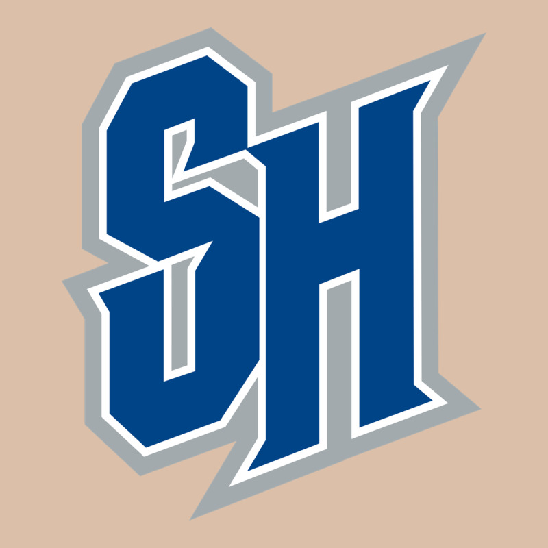 Seton Hall Pirates Urban Heavy Tee by linhVisuals | Teevron