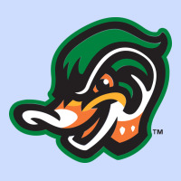 Down East Wood Ducks Urban Heavy Tee | Teevron