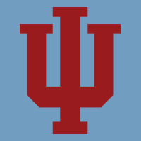 Indiana Gifts Urban Heavy Tee | Teevron