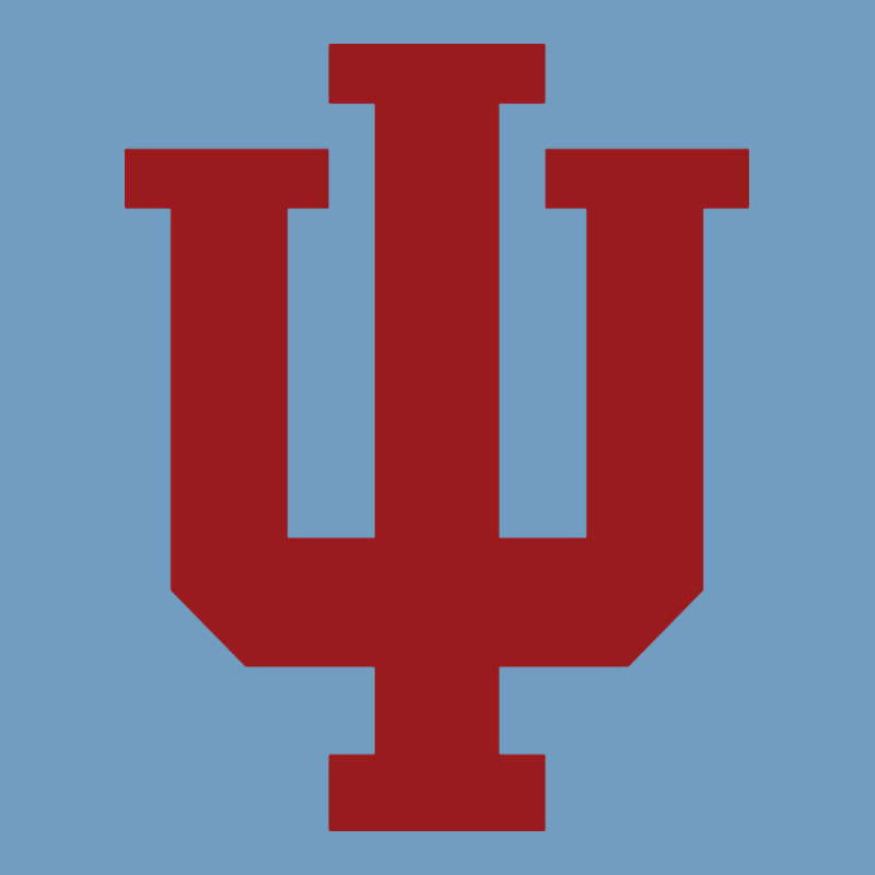 Indiana Gifts Urban Heavy Tee by linhVisuals | Teevron