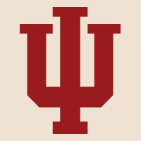 Indiana Gifts Urban Heavy Tee | Teevron