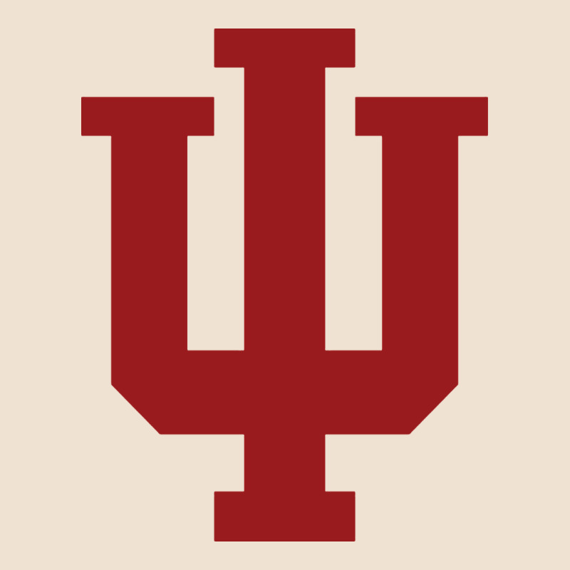 Indiana Gifts Urban Heavy Tee by linhVisuals | Teevron