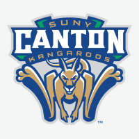 Suny Canton Urban Heavy Tee | Teevron