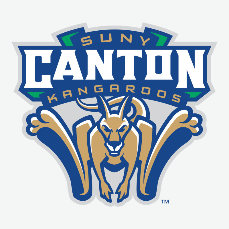 Suny Canton Urban Heavy Tee by linhVisuals | Teevron