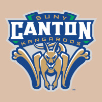 Suny Canton Urban Heavy Tee | Teevron