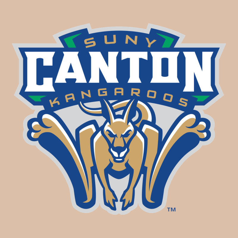 Suny Canton Urban Heavy Tee by linhVisuals | Teevron