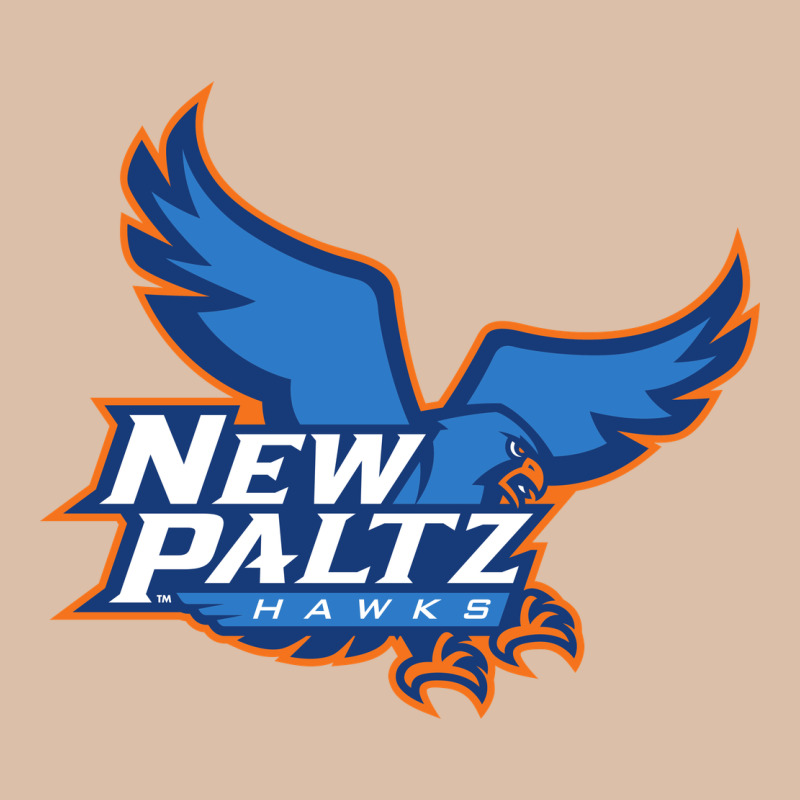Suny New Paltz Urban Heavy Tee by linhVisuals | Teevron