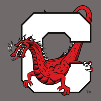 Suny Cortland Red Dragons Urban Heavy Tee | Teevron