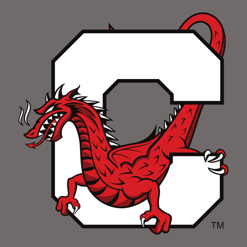 Suny Cortland Red Dragons Urban Heavy Tee by linhVisuals | Teevron