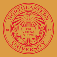 Northeastern University Urban Heavy Tee | Teevron