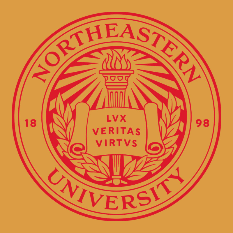 Northeastern University Urban Heavy Tee by linhVisuals | Teevron