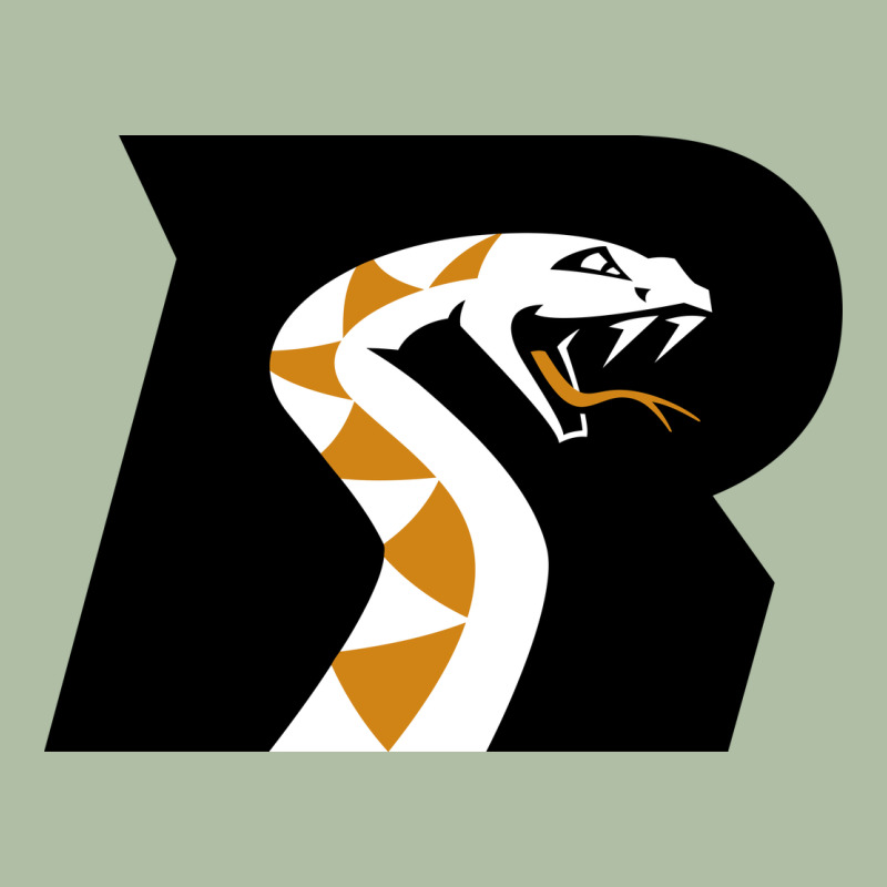 Arizona Rattlers Urban Heavy Tee by linhVisuals | Teevron