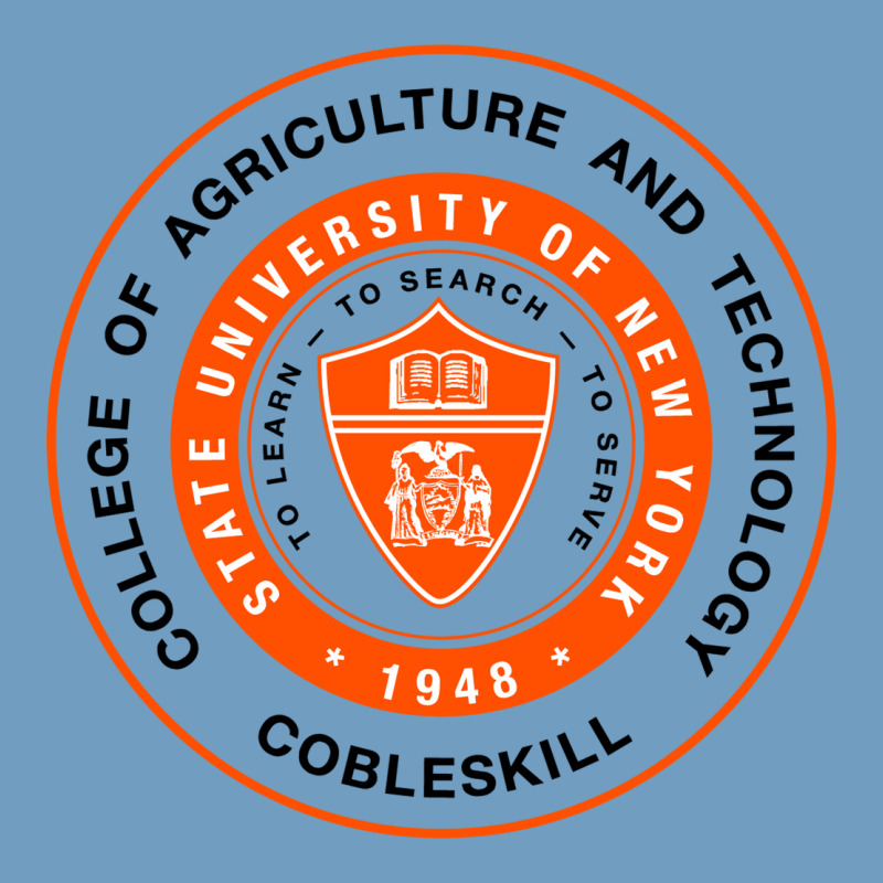 Suny Cobleskill Urban Heavy Tee by linhVisuals | Teevron