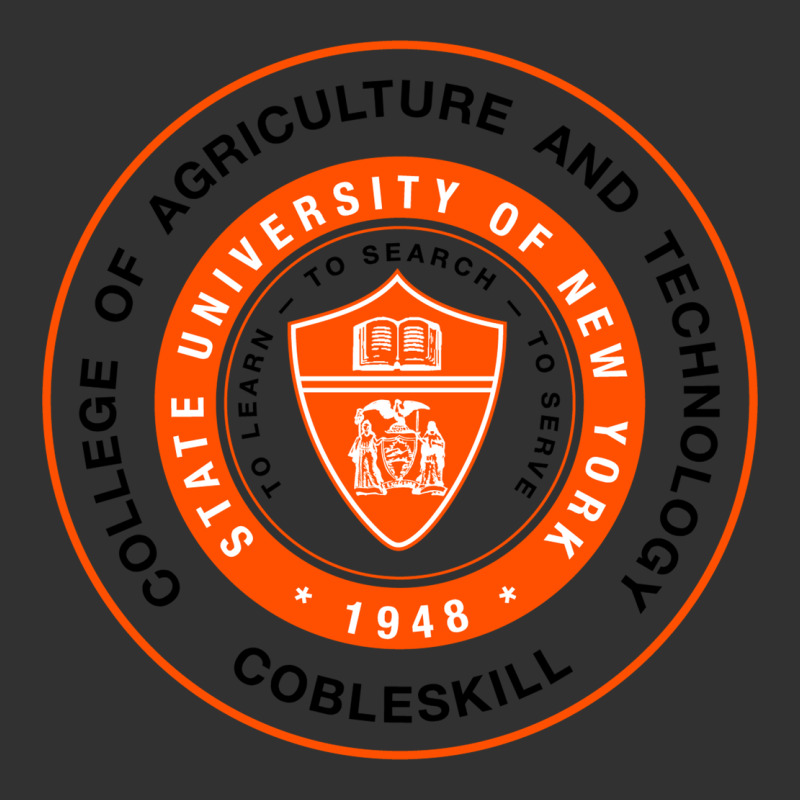 Suny Cobleskill Urban Heavy Tee by linhVisuals | Teevron