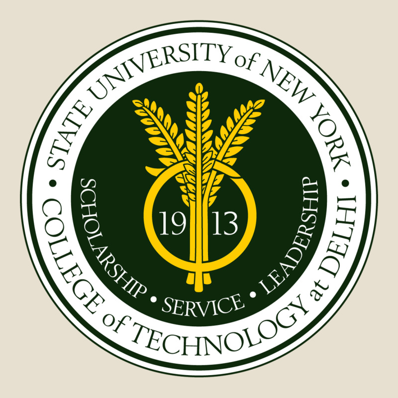Suny Delhi Urban Heavy Tee by linhVisuals | Teevron