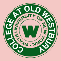 Suny Old Westbury Urban Heavy Tee | Teevron