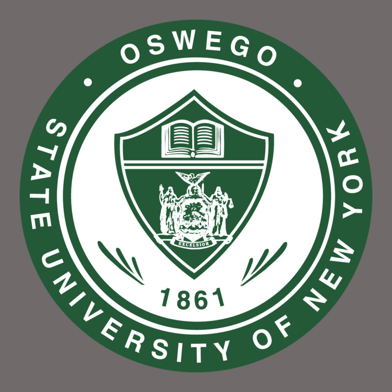 Suny Oswego Urban Heavy Tee by linhVisuals | Teevron
