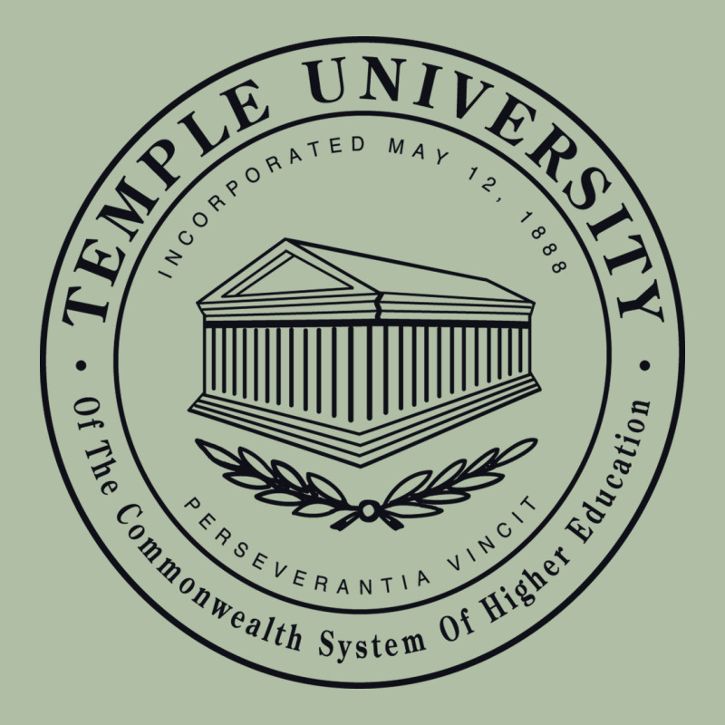 Temple University Urban Heavy Tee by linhVisuals | Teevron