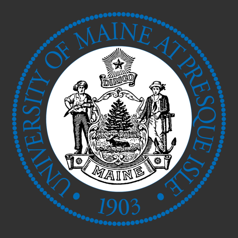 University Of Maine At Presque Isle Urban Heavy Tee by linhVisuals | Teevron