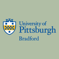University Of Pittsburgh At Bradford New Urban Heavy Tee | Teevron