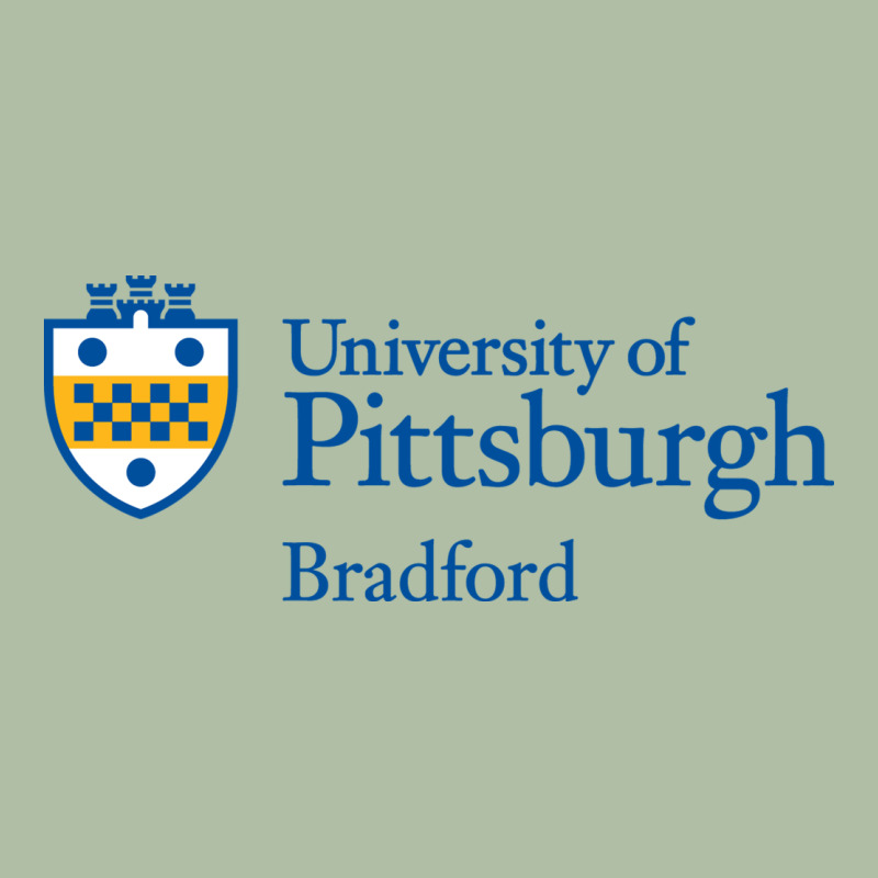 University Of Pittsburgh At Bradford New Urban Heavy Tee by linhVisuals | Teevron