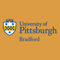 University Of Pittsburgh At Bradford New Urban Heavy Tee | Teevron