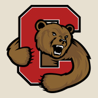 Cornell Big Red Urban Heavy Tee | Teevron