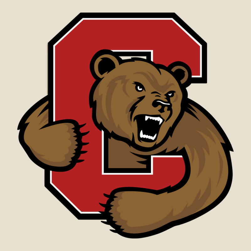 Cornell Big Red Urban Heavy Tee by linhVisuals | Teevron