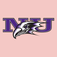 Niagara Purple Eagles Urban Heavy Tee | Teevron