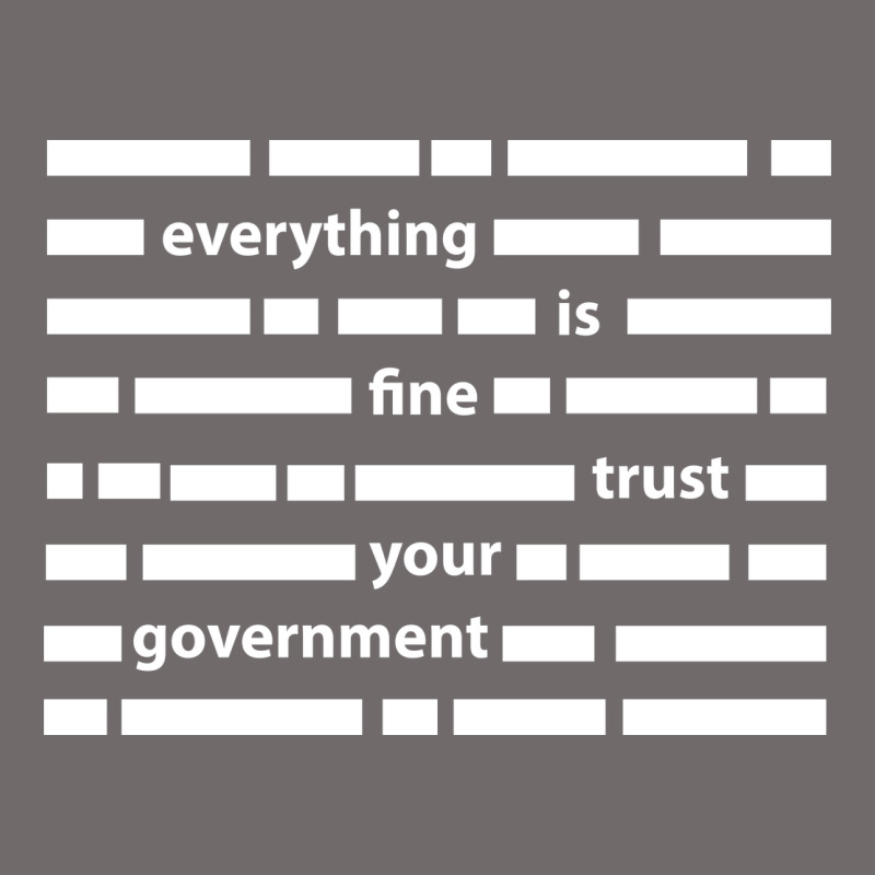 Everything Is Fine Trust Your Government Urban Heavy Tee by linhVisuals | Teevron