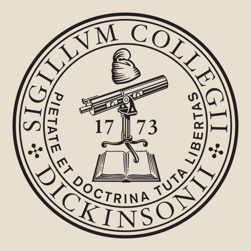 Dickinson, College Urban Heavy Tee by linhVisuals | Teevron