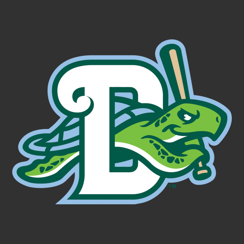 Daytona Tortugas Urban Heavy Tee by linhVisuals | Teevron