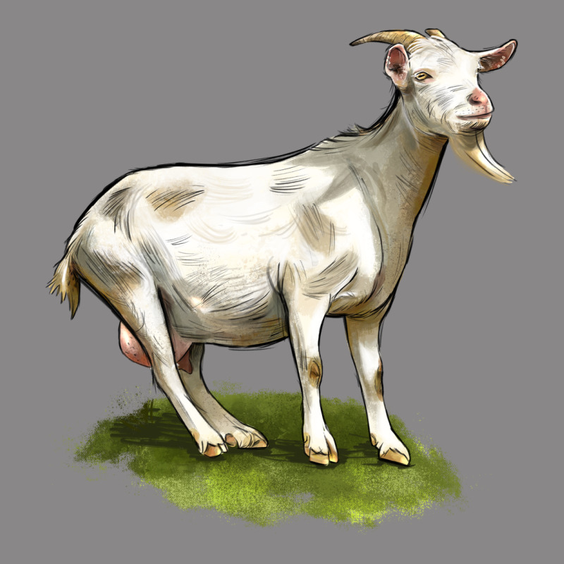 Cashmere Goat Vintage Tee by LillyAllenDesigns | Teevron