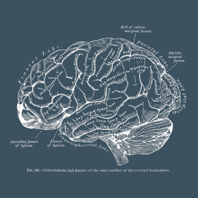 Vintage Human Anatomy Brain Tee T Tshirt Urban Heavy Tee by linhVisuals | Teevron
