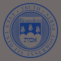 Brandeis University Urban Heavy Tee | Teevron