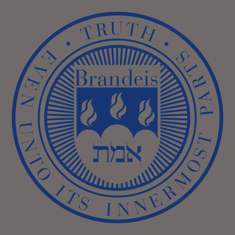 Brandeis University Urban Heavy Tee by linhVisuals | Teevron