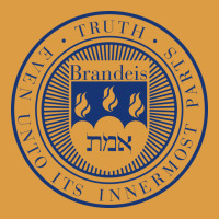 Brandeis University Urban Heavy Tee | Teevron