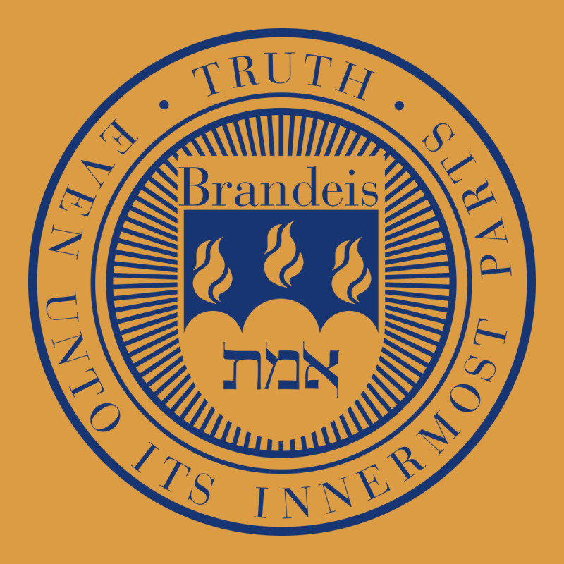 Brandeis University Urban Heavy Tee by linhVisuals | Teevron