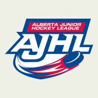 All Star Ajhl Urban Heavy Tee | Teevron