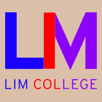Lim College Urban Heavy Tee | Teevron