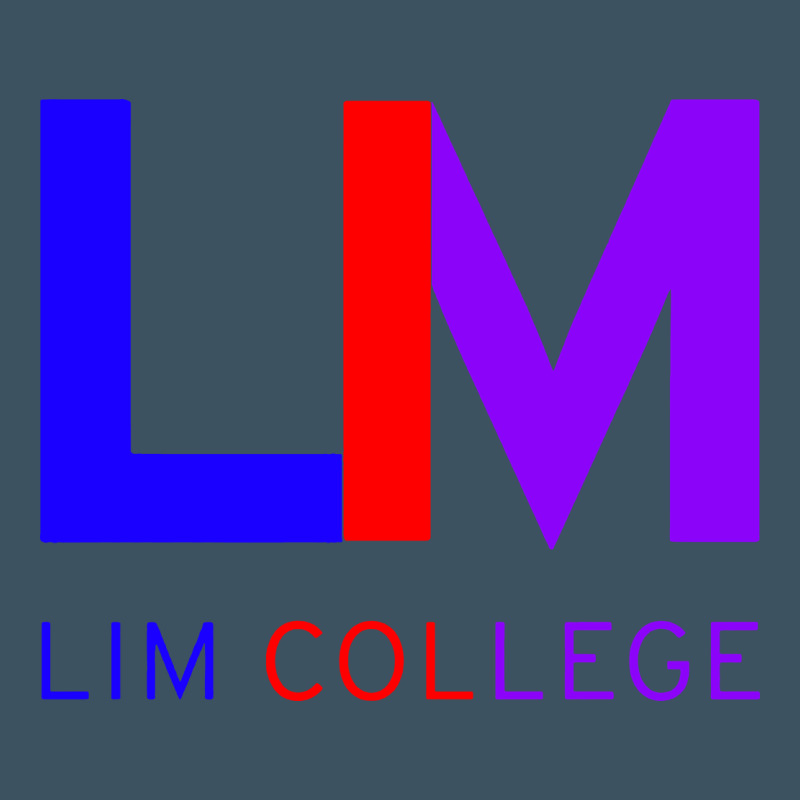 Lim College Urban Heavy Tee by linhVisuals | Teevron