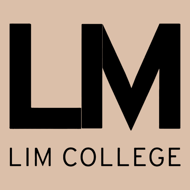 Lim College Urban Heavy Tee by linhVisuals | Teevron