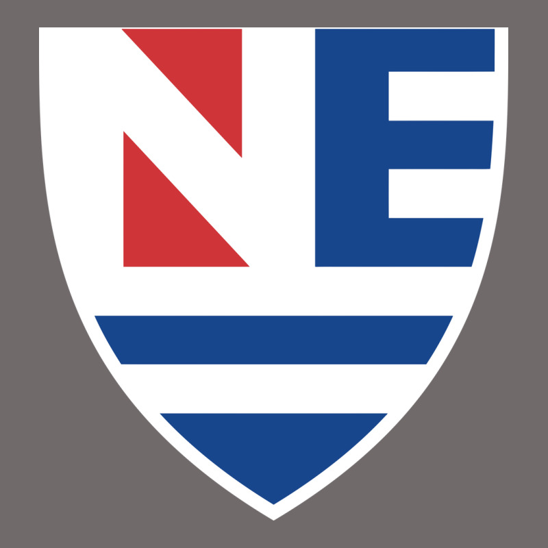 New England College Shield Vectorized Urban Heavy Tee by linhVisuals | Teevron