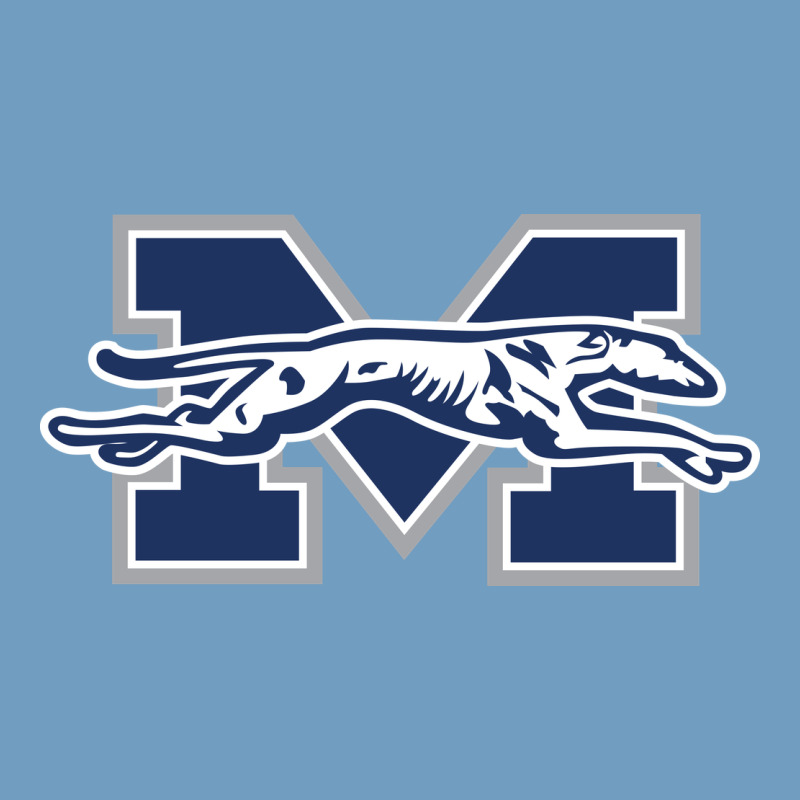Moravian Merch, Greyhounds Urban Heavy Tee by linhVisuals | Teevron