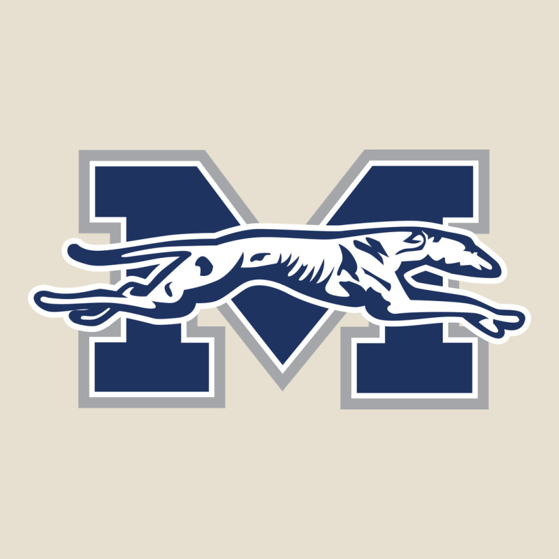 Moravian Merch, Greyhounds Urban Heavy Tee by linhVisuals | Teevron