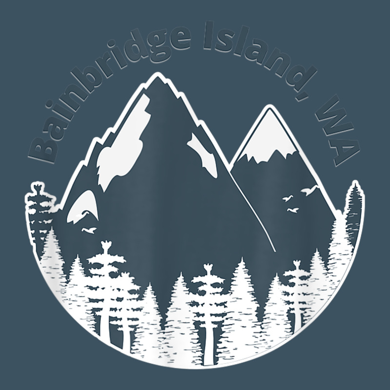 Bainbridge Island Wa Mountains Hiking Climbing Camping Urban Heavy Tee by linhVisuals | Teevron