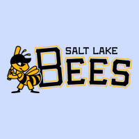 Salt Lake City Bees Urban Heavy Tee | Teevron